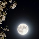 Q13. ＜금강경＞과 사띠명상 강의에서 '면전에 사띠를 둔다'는 표현이 나옵니다. 중심점을 코끝에 두는 것인지 단순한 비유인지 헷갈립니 이미지