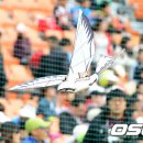 부산갈매기 - 당진시 먹거리길 72-13 | 부산갈매기
