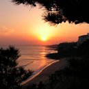 황금빛 노을 이미지