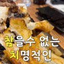 참치마라도