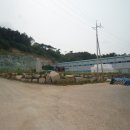 장성군삼서면두월보건진료소 | 2017 타경 8577 .전라남도 장성군 삼서면 두월리 전 경매