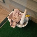 흥해스크린골프 이미지