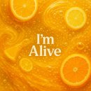 신진슈퍼문구 | 아임얼라이브 콤부차, 탄산음료를 대체한 새로운 웰니스 루틴