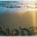 ALOHA 이미지