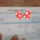 동구밖 대추농원