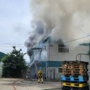 부산 강서구-9 부산일보