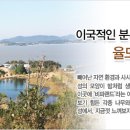 율도 Daum카페