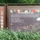 카페만월경 네이버블로그