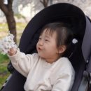 율곡천 4 이미지