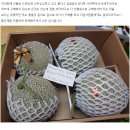 농수산물도매시장_하 이미지