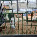 산너머그집 이미지