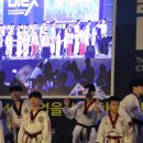 린 태권스쿨 이미지