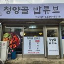밥튜브 이미지