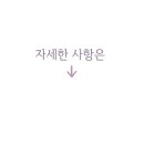 부안솔가 이미지