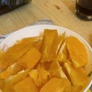 올레애견펜션 이미지