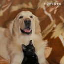 이모란동물병원 이미지