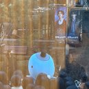 하나사 | [공연 후기] 2026년 뮤지컬 한복입은남자 다섯 번째 후기 (feat.총막공)