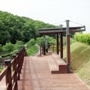 신상동 인공습지 이미지