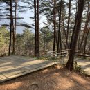 인제캠핑타운 이미지