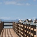 수문해수욕장 이미지