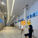 드림애견학교 이미지