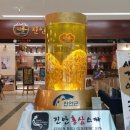 진안홍삼스파 네이버블로그