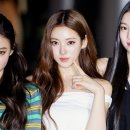 미야오 카카오 검색결과