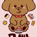 옥정강아지 이미지