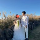 살랑더테일 | W.05 셀프 야외 웨딩스냅 👰🏻준비 후기 | SHEIN 드레스 &amp; 직접 만든 조화 부케까지