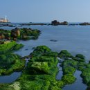 대변해변2 이미지