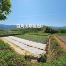 평장농장 이미지