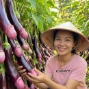 웃짤 유머 이미지