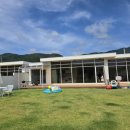 해바라기 키즈 풀빌라 이미지