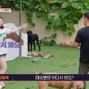 소유축산