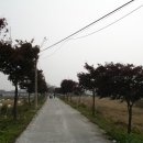 청미천 4 이미지