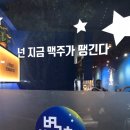 별밤호프 이미지