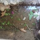 천정경로당 이미지