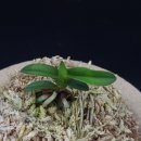 청해광택 이미지