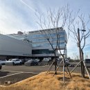 더뷰호스텔 | 화성 서해마루 유스호스텔 개관식 ㅣ 2인 하프오션뷰 숙박 이용 후기 ㅣ내돈내산 ㅣ스압주의..