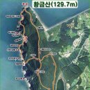 천안본정형외과의원 Daum카페
