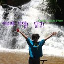 카르페디엠 이미지