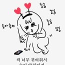 댕그라운드 이미지