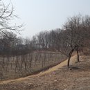 교동향교 주차장 티스토리
