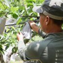 호준농장2 이미지