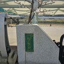 충훈매점 이미지