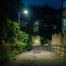 신림동-6 이미지