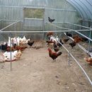 룩스글램핑앤팜 안동펜션 이미지