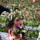 신남어린이집 이미지