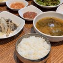 서울시청역 점심 맛집 고려보쌈 내돈내산 후기