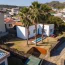 작은풍경소리민박 | [제주도펜션] 돌담길 끝에서 만난 제주 감성 민박, 사계새나하우스